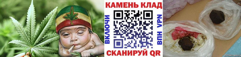 МЕГА маркетплейс  Томилино  ГАШИШ Ice-O-Lator 